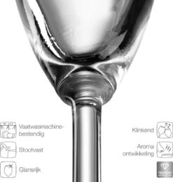 Leonardo Daily Champagneglas - 180 Ml - 6 Stuks -Tafelwaren Verkoop 1144x1200 5