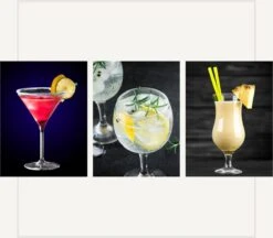 Orange85 Cocktail Glazen - Gin - Martini - Pina Colada - Set Van 6 -Tafelwaren Verkoop 1200x1050 4