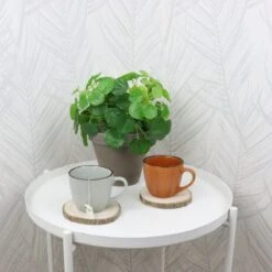 OTIX Koffiekopjes - Met Oor - Set Van 4 - Verschillende Kleuren - Aardewerk - 250 Ml -Tafelwaren Verkoop 1200x1200 526