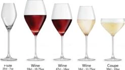 Libbey Champagneglas Iduna – 200 Ml / 20 Cl - Set Van 6 - Elegant Design - Hoge Kwaliteit - Vaatwasserbestendig 11 Libbey Champagneglas Iduna – 200 Ml / 20 Cl - Set Van 6 - Elegant Design - Hoge Kwaliteit - Vaatwasserbestendig -Tafelwaren Verkoop 1200x671