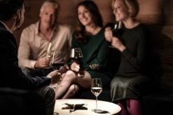 Schott Zwiesel Pure Cabernet Wijnglas - 0,54 L - 6 Stuks -Tafelwaren Verkoop 1200x800 76