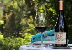 Schott Zwiesel Diva Bourgogne Wijnglas - 0,46 L - 6 Stuks -Tafelwaren Verkoop 1200x837 4