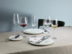 Schott Zwiesel Fortissimo Bourgogne Wijnglazen - 0.727 L - 6 Stuks -Tafelwaren Verkoop 1200x899 16