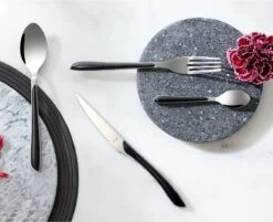 Amefa Eclat Zwart - 16 Delige Set - 4 Persoons - Zwart Gekleurd Bestek -Tafelwaren Verkoop 1200x975