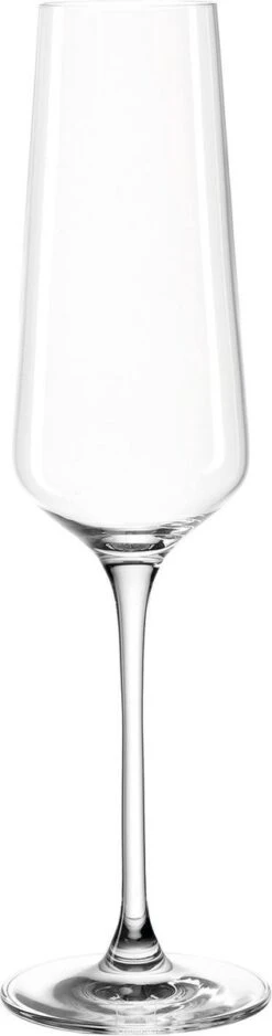 Leonardo Puccini Champagneglas - 280 Ml - 6 Stuks 13 Leonardo Puccini Champagneglas - 280 Ml - 6 Stuks -Tafelwaren Verkoop 316x1200
