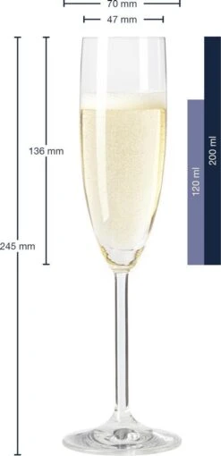 Leonardo Daily Champagneglas - 180 Ml - 6 Stuks -Tafelwaren Verkoop 581x1200
