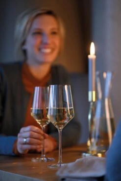 Schott Zwiesel Pure Riesling Wijnglas - 300 Ml - 6 Stuks -Tafelwaren Verkoop 800x1200 21