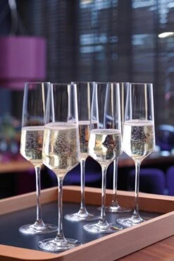 Leonardo Puccini Champagneglas - 280 Ml - 6 Stuks 14 Leonardo Puccini Champagneglas - 280 Ml - 6 Stuks -Tafelwaren Verkoop 800x1200 36