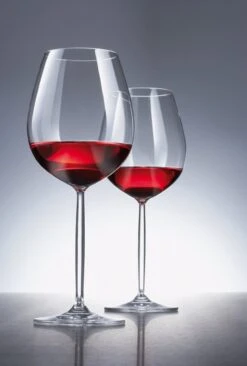 Schott Zwiesel Diva Bourgogne Wijnglas - 0,46 L - 6 Stuks -Tafelwaren Verkoop 810x1200 2