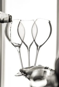 Lehmann Jamesse Champagneglazen 41cl 7 Lehmann Jamesse Champagneglazen 41cl -Tafelwaren Verkoop 816x1200 1