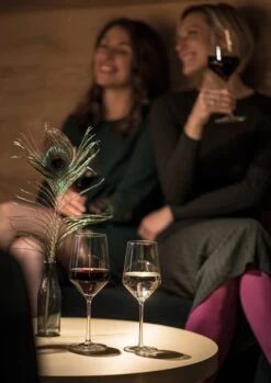 Schott Zwiesel Pure Riesling Wijnglas - 300 Ml - 6 Stuks -Tafelwaren Verkoop 850x1200 3