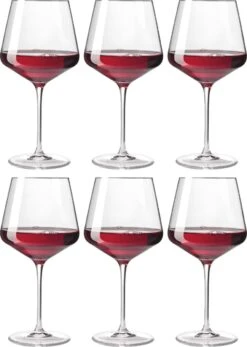 Leonardo Puccini Burgundy Wijnglas Groot - Hoogte 23 Cm - 6 Stuks 16 Leonardo Puccini Burgundy Wijnglas Groot - Hoogte 23 Cm - 6 Stuks -Tafelwaren Verkoop 854x1200 1