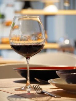 Schott Zwiesel Ivento 18-delige Set Bodini -Tafelwaren Verkoop 899x1200 21