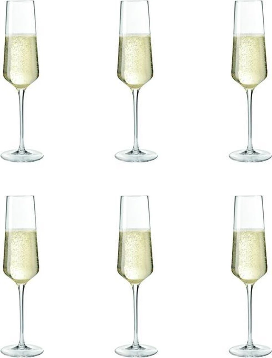 Leonardo Puccini Champagneglas - 280 Ml - 6 Stuks 11 Leonardo Puccini Champagneglas - 280 Ml - 6 Stuks - Afbeelding 11