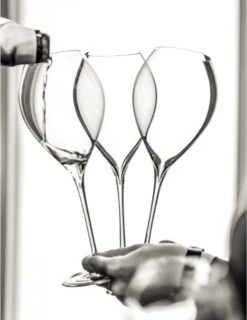 Lehmann Jamesse Champagneglazen 28.5cl 8 Lehmann Jamesse Champagneglazen 28.5cl -Tafelwaren Verkoop 925x1200 2